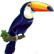 :kb2_toucan: