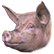 :realpig: