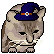 :Wizardhatcat: