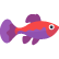 :LilacFish: