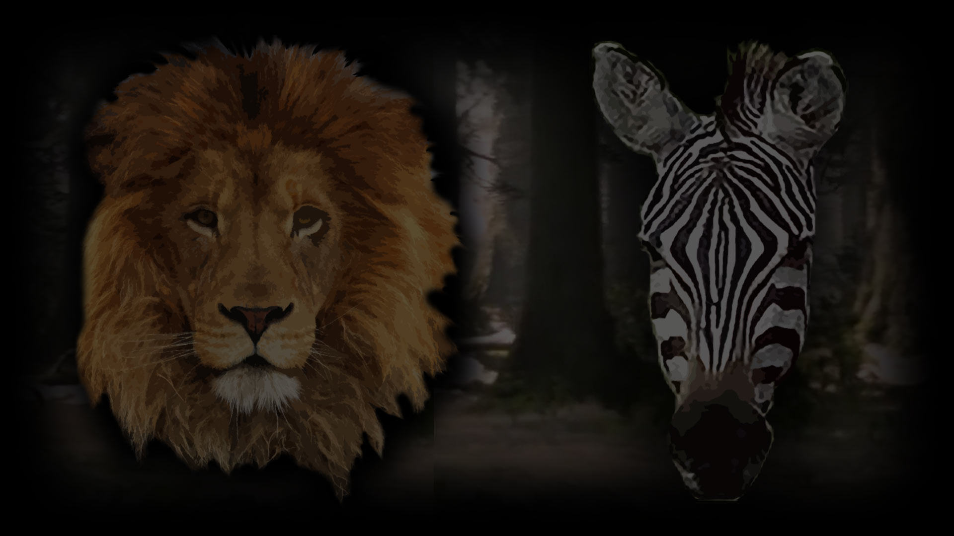 Lion and Zebra