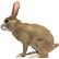 :cowardly_rabbit: