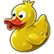 :rubberduck_aloha: