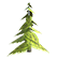 :Christmas_tree: