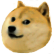 :theDoge: