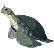 :CoMgiantturtle: