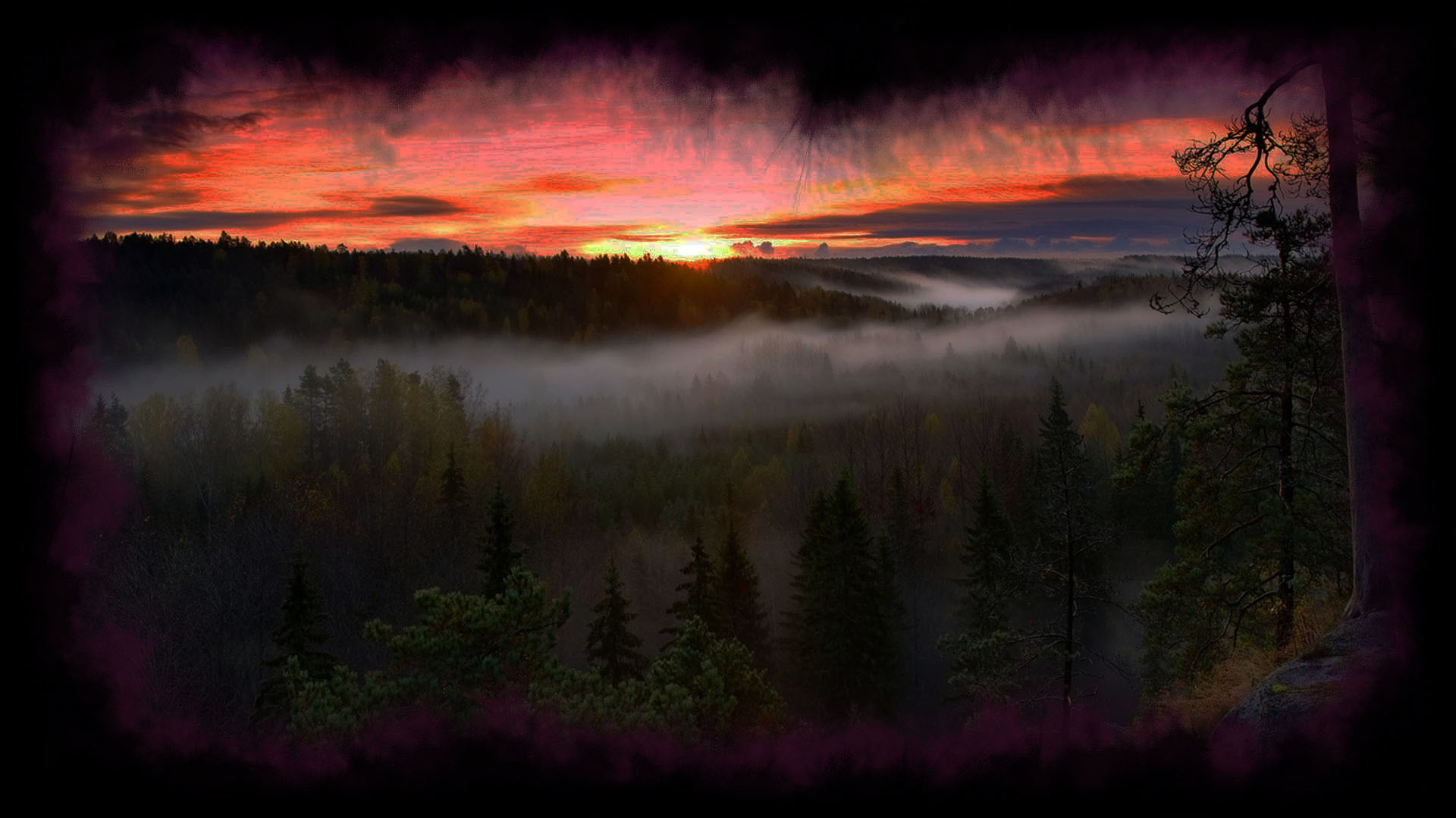 evening