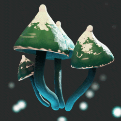 Bustling fungus avatar