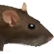 :rat_head: