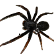 :little_spider: