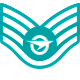 Series 1 - Staff Sergeant Mk. II