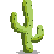 :cactusdesert: