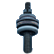 :SJPToronto: