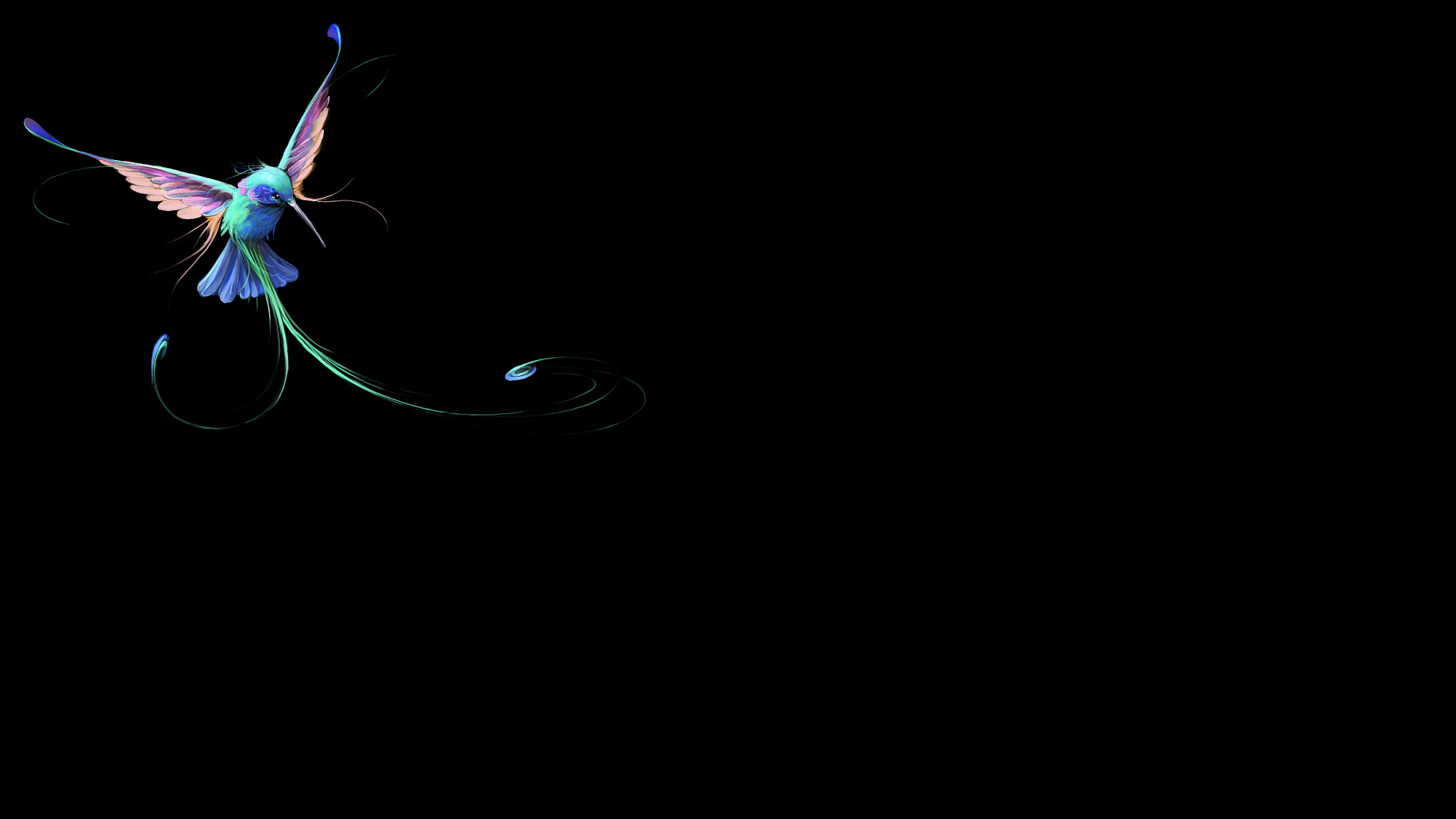 The Tiny Background - Colibri