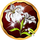 Series 1 - lily badge