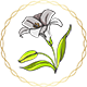 Series 1 - lily badge Lv4